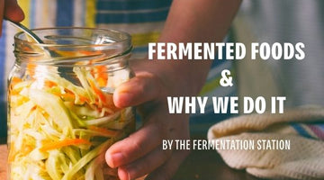 Fermented Foods & Why We Do It