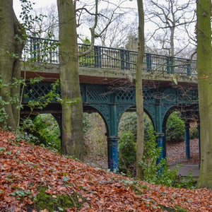 The Iron Bridge in Sefton Park