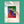 Load image into Gallery viewer, Studio Taco

